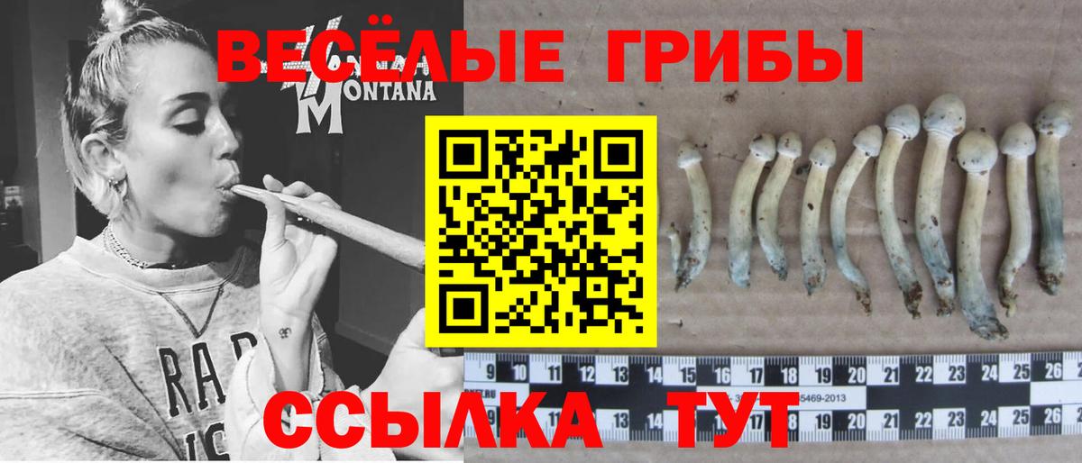где купить наркоту  Галлюциногенные грибы ЛСД  Вход с VPN  Ленинск-Кузнецкий 